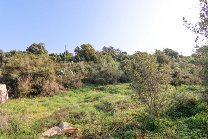 משק חקלאי/ נחלה, מעלה הכפר 3, כרם מהר''ל, כרם מהר"ל