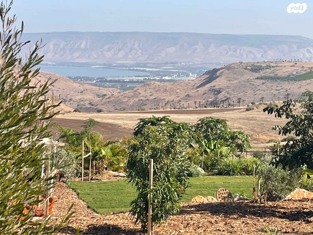 מגרשים, אירוס הגליל 1, יבנאל, יבנאל