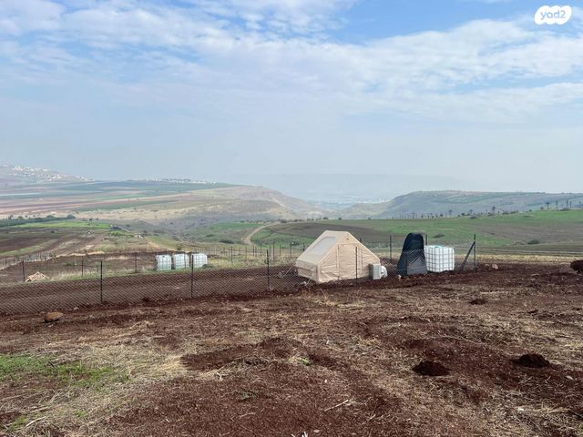 מגרשים, אירוס הגליל 1, יבנאל, יבנאל