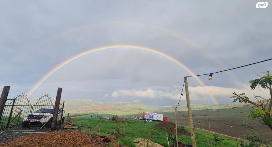 אירוס הגליל 1