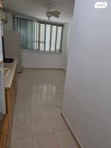 אבא ברדיצ'ב 3