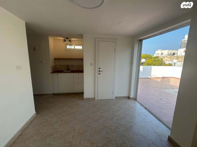 גג/ פנטהאוז, חיים ואלישע 4, לב תל אביב, לב העיר צפון, תל אביב יפו