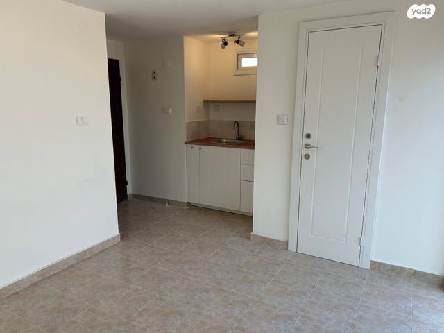 גג/ פנטהאוז, חיים ואלישע 4, לב תל אביב, לב העיר צפון, תל אביב יפו