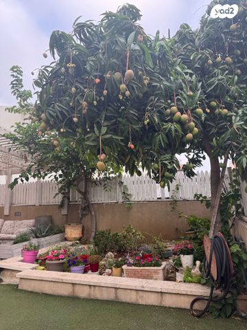 דו משפחתי, השלום 68, שבענה, אזור