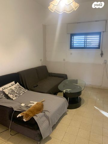 דירה, שדרות ודג'ווד 21, מרכז הכרמל, חיפה