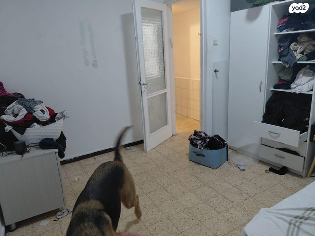 דירה, רוטשילד 66, לב המושבה / מרכז העיר, פתח תקווה