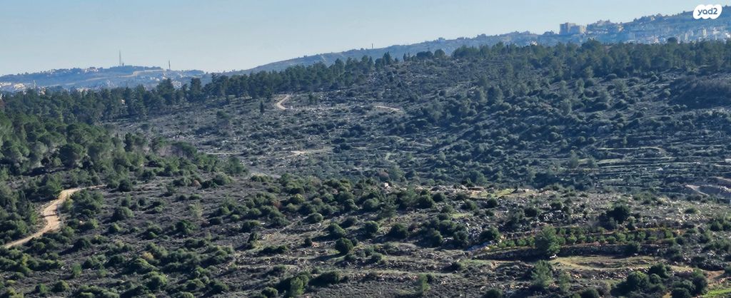 גג/ פנטהאוז, צור הדסה