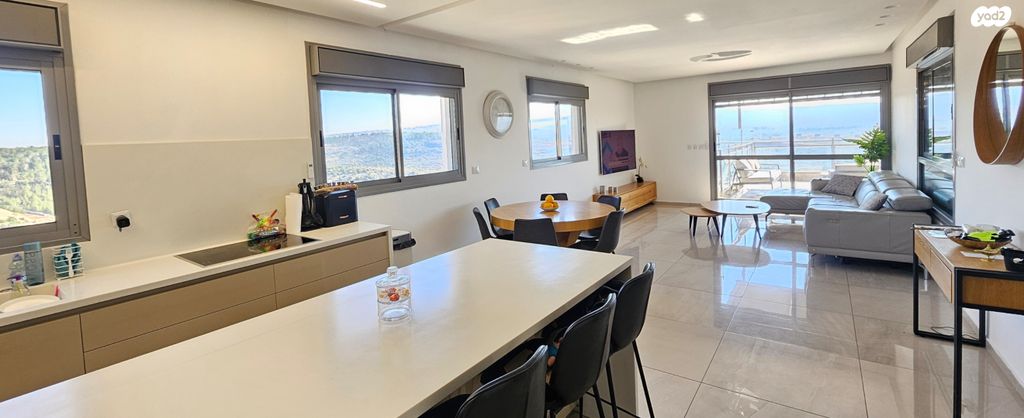 גג/ פנטהאוז, צור הדסה