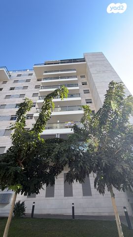 דירה, הלוחמות, נרקיסים, ראשון לציון