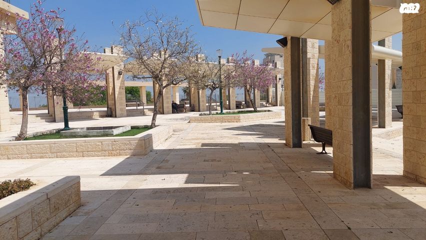 השיקמה 