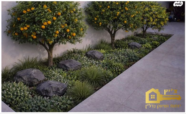 בית פרטי/ קוטג', בצרה, בצרה