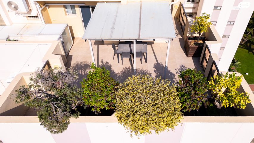 גג/ פנטהאוז, שלמה בן יוסף, רמת אביב ג', תל אביב יפו