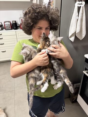 תמונת מודעה - חיות מחמד