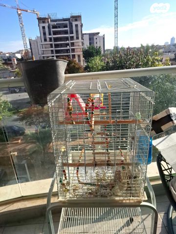 תמונת מודעה - חיות מחמד