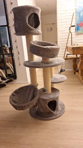 תמונת מודעה - חיות מחמד