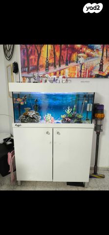 תמונת מודעה - חיות מחמד