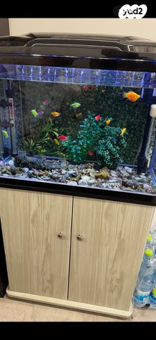 תמונת מודעה - חיות מחמד