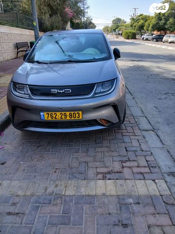 בי.ווי.די דולפין