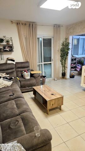 אריה צימוקי 7