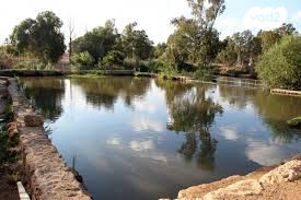 דירה, רוקח 76, שכונת הותיקים, רמת גן