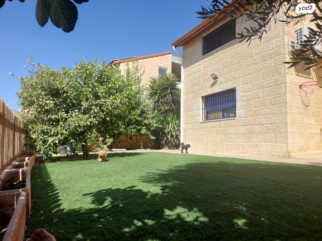 דו משפחתי, נוף הרים 10, רימונים, רימונים