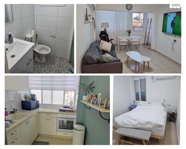 שדרות שלמה המלך 41