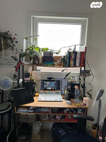 דירה, ברוך שפינוזה 3, ב' / צפון מערב העיר, רחובות