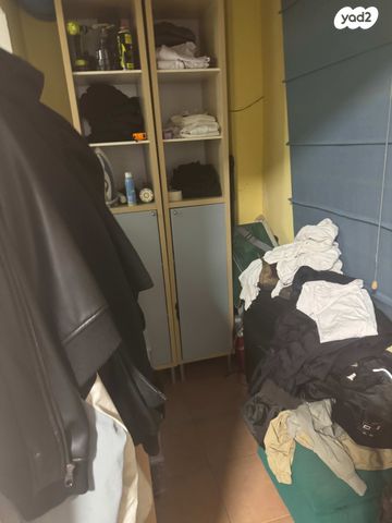 דוד שמעוני 43