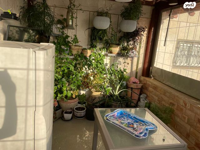 דירה, הקרן 15, כלי שיר, מעלה אדומים