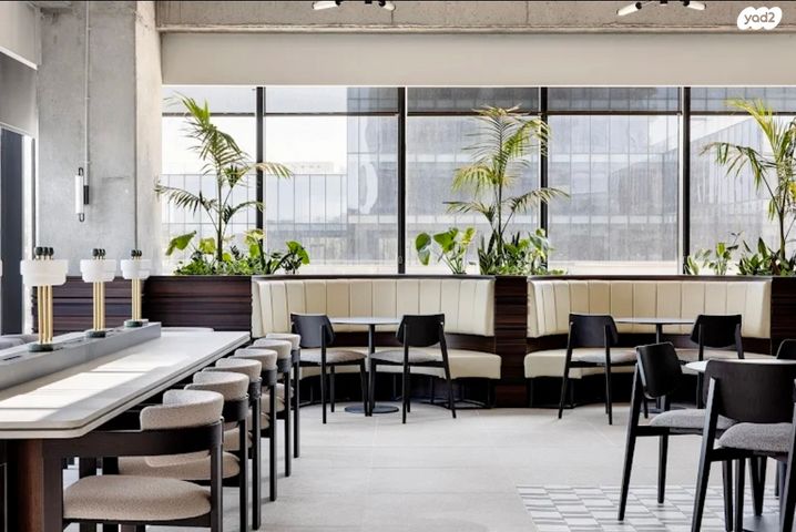 תוצרת הארץ 3