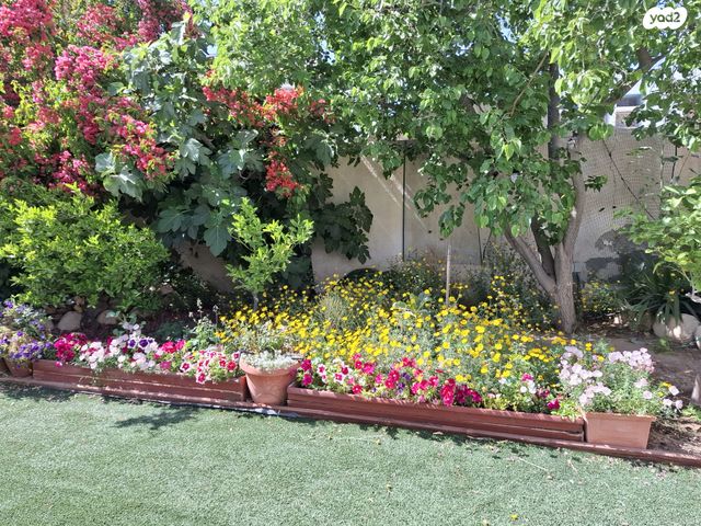 בית פרטי/ קוטג', דימונה