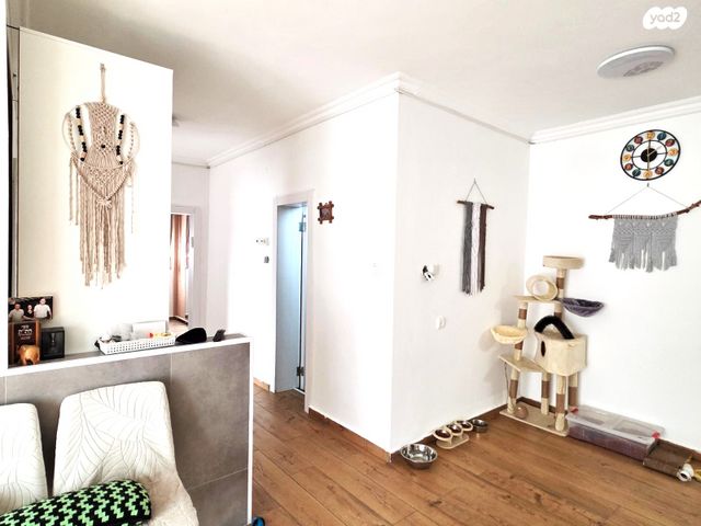 דירה, הורדים, קרית שמונה