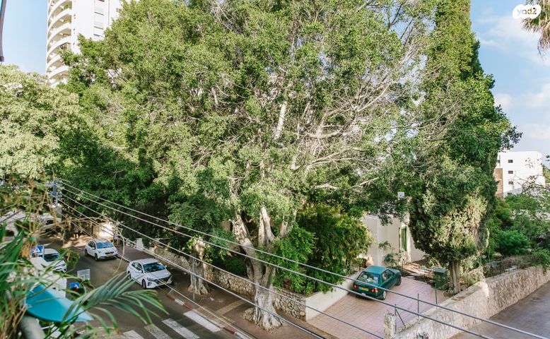 דירה, אהרון אייזנברג, א' / צפון מזרח העיר, רחובות