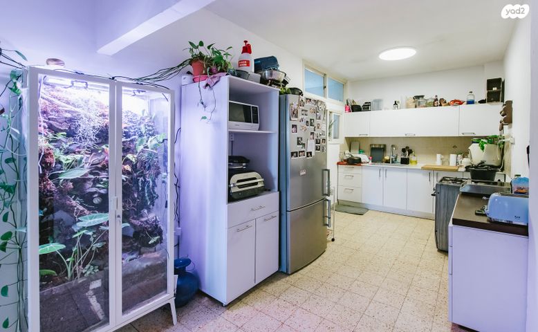 דירה, אהרון אייזנברג, א' / צפון מזרח העיר, רחובות