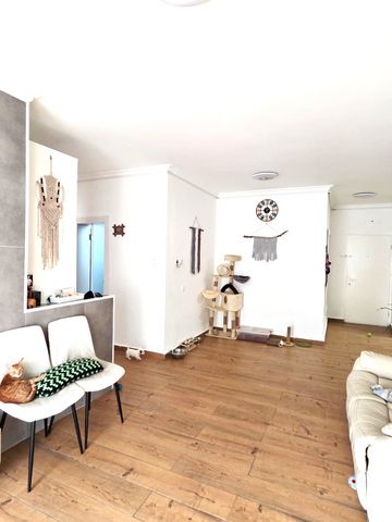 דירה, הורדים, קרית שמונה