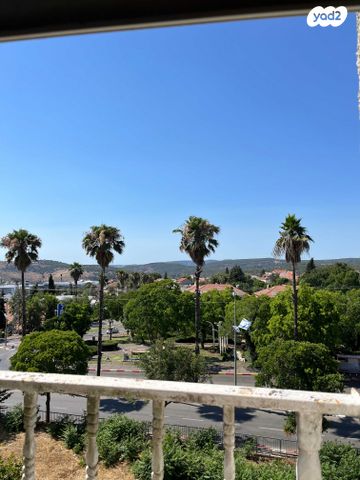 קרן היסוד 316