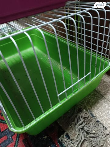 תמונת מודעה - חיות מחמד