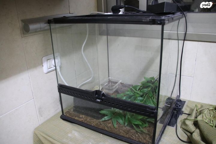 תמונת מודעה - חיות מחמד