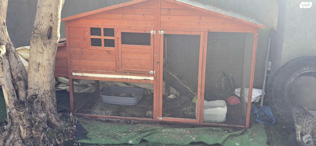 תמונת מודעה - חיות מחמד