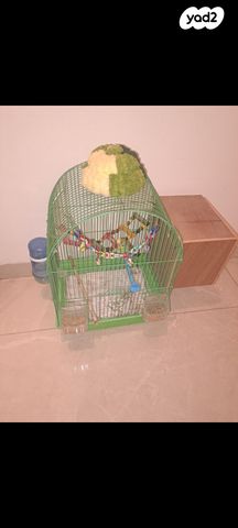 תמונת מודעה - חיות מחמד