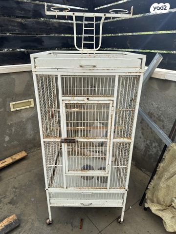 תמונת מודעה - חיות מחמד