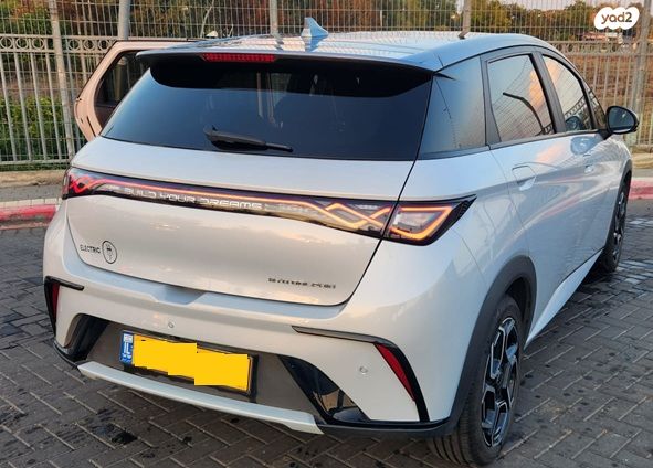 בי.ווי.די דולפין