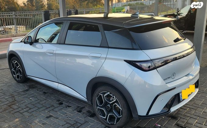 בי.ווי.די דולפין