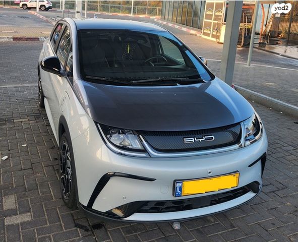 בי.ווי.די דולפין