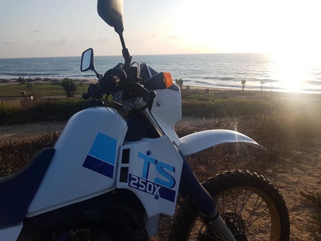 מודעת רכב סוזוקי TS50W