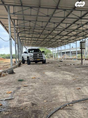 מודעת רכב דודג'