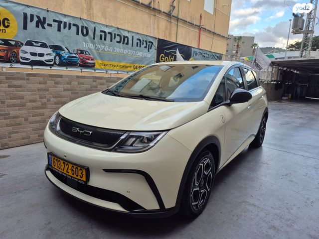 בי.ווי.די דולפין