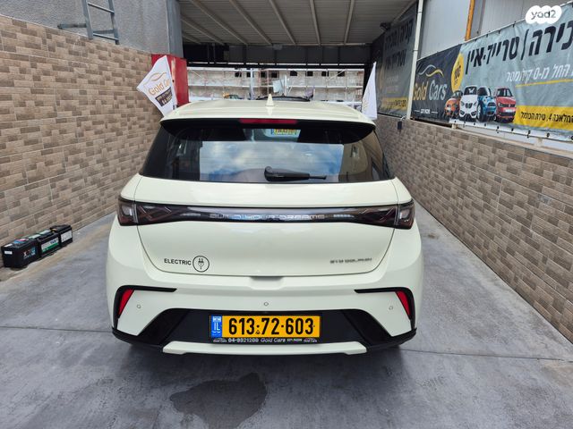 בי.ווי.די דולפין