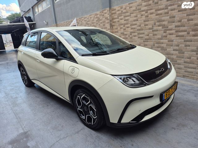 בי.ווי.די דולפין