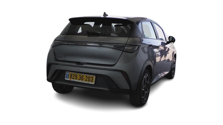 בי.ווי.די דולפין